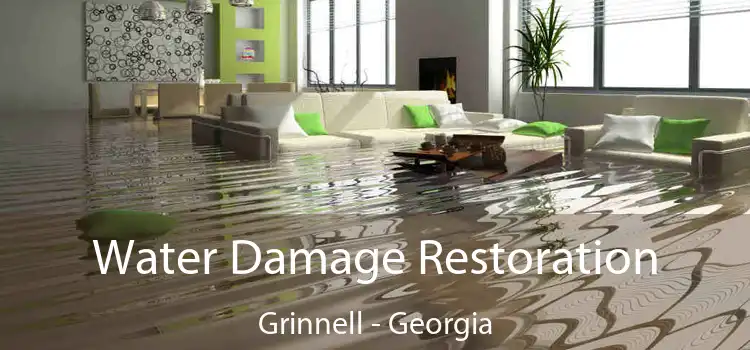 Water Damage Restoration Grinnell - Georgia