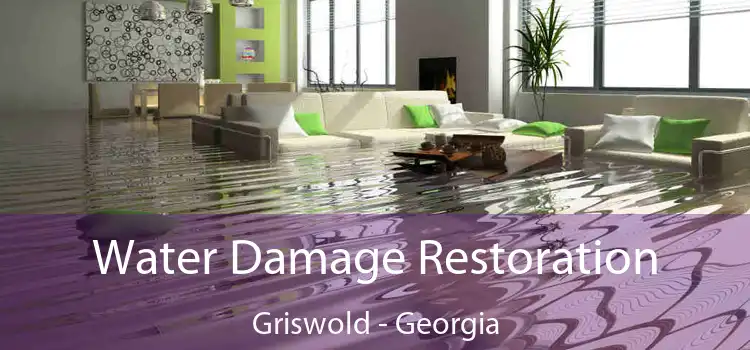 Water Damage Restoration Griswold - Georgia