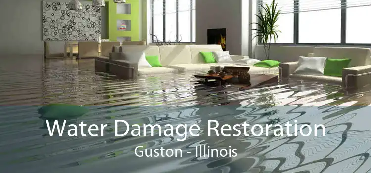 Water Damage Restoration Guston - Illinois