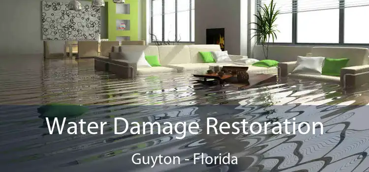 Water Damage Restoration Guyton - Florida