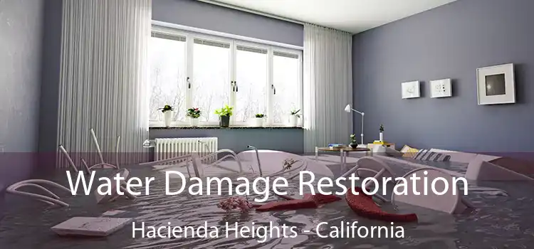 Water Damage Restoration Hacienda Heights - California