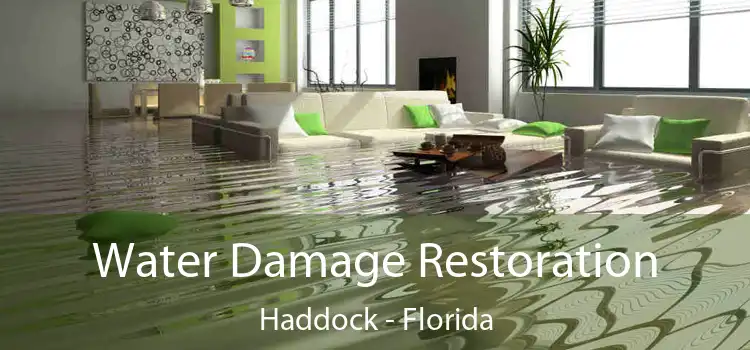 Water Damage Restoration Haddock - Florida