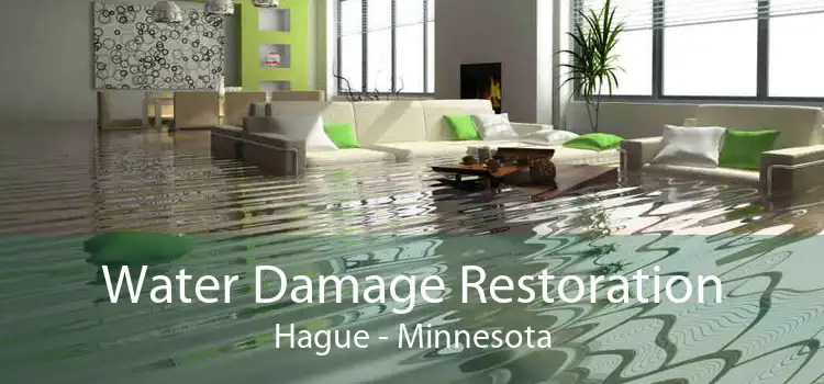 Water Damage Restoration Hague - Minnesota