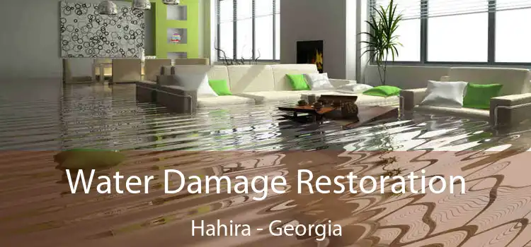 Water Damage Restoration Hahira - Georgia