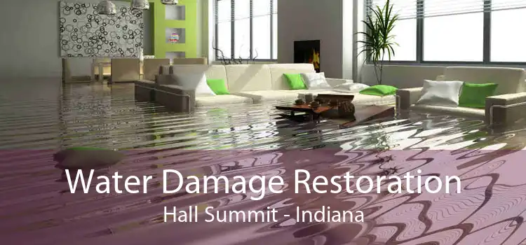 Water Damage Restoration Hall Summit - Indiana