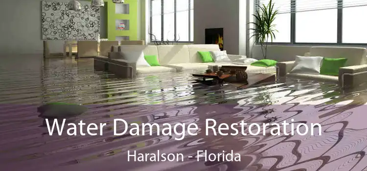 Water Damage Restoration Haralson - Florida