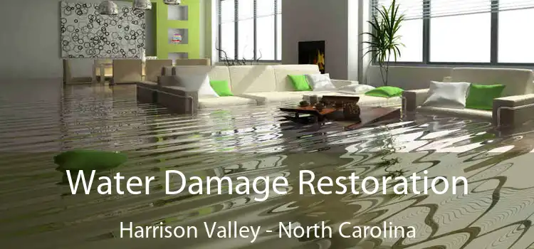 Water Damage Restoration Harrison Valley - North Carolina