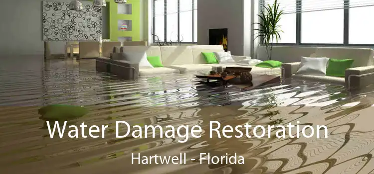 Water Damage Restoration Hartwell - Florida