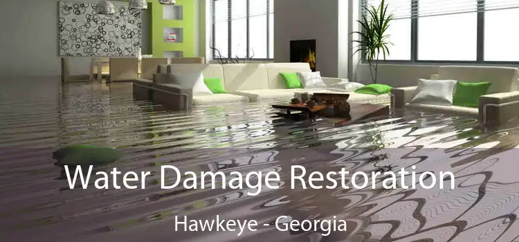 Water Damage Restoration Hawkeye - Georgia