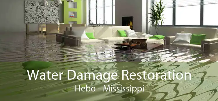 Water Damage Restoration Hebo - Mississippi
