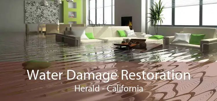 Water Damage Restoration Herald - California