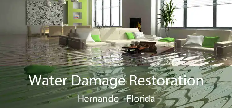 Water Damage Restoration Hernando - Florida