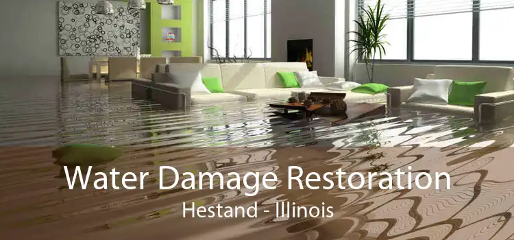 Water Damage Restoration Hestand - Illinois