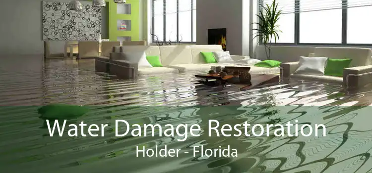 Water Damage Restoration Holder - Florida