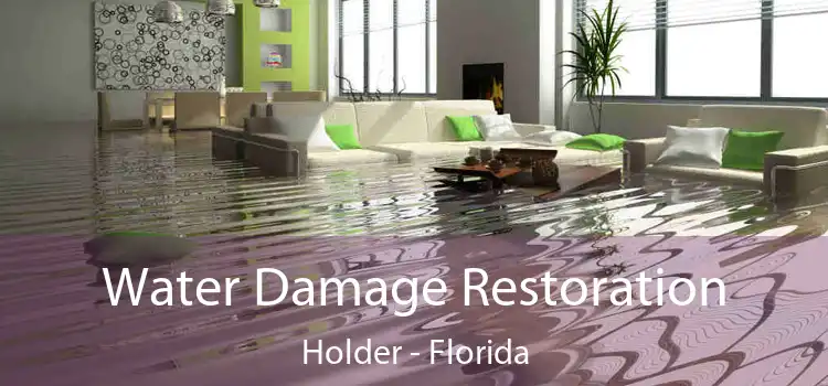 Water Damage Restoration Holder - Florida