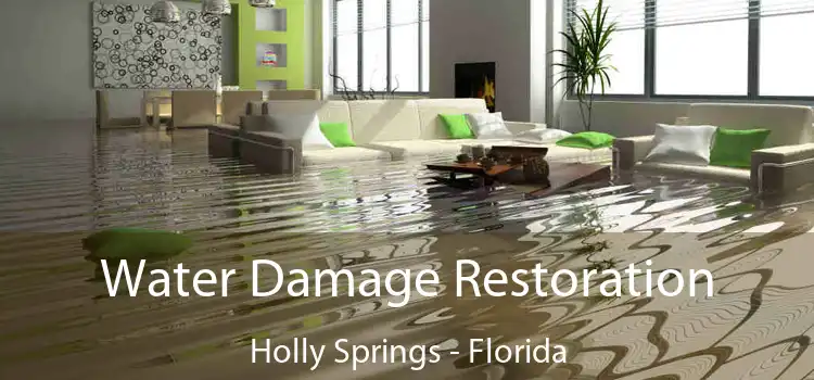 Water Damage Restoration Holly Springs - Florida