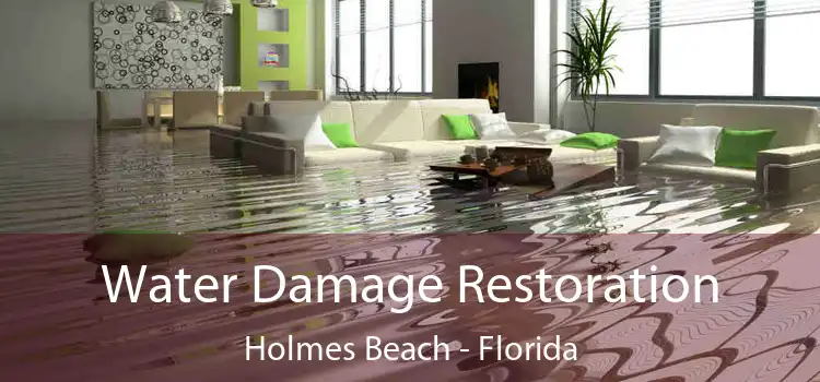 Water Damage Restoration Holmes Beach - Florida