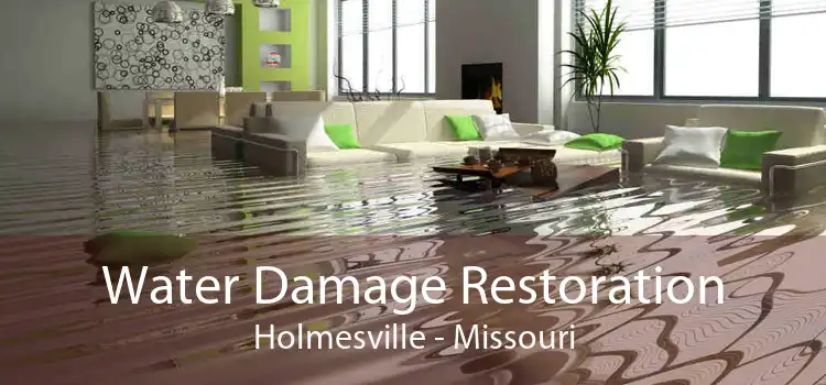 Water Damage Restoration Holmesville - Missouri