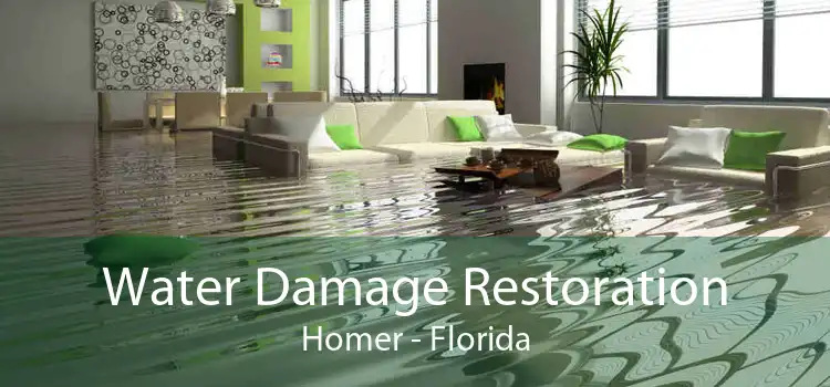 Water Damage Restoration Homer - Florida