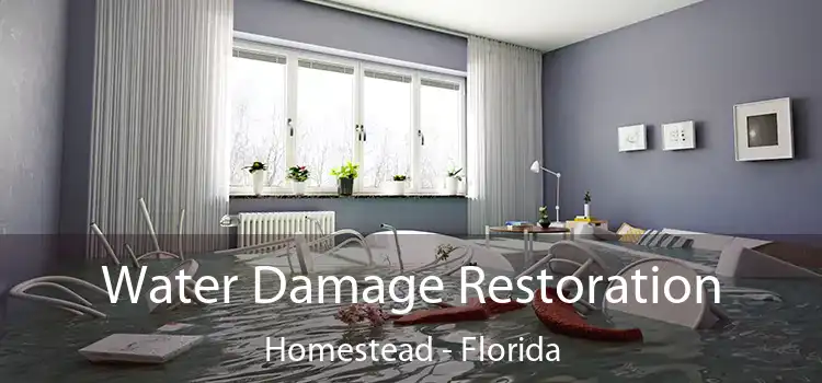 Water Damage Restoration Homestead - Florida