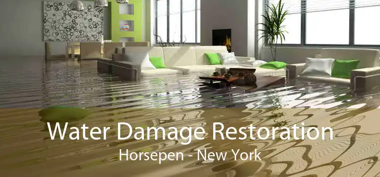 Water Damage Restoration Horsepen - New York