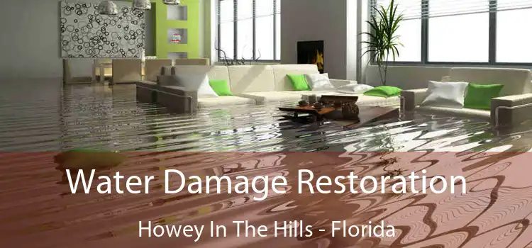 Water Damage Restoration Howey In The Hills - Florida