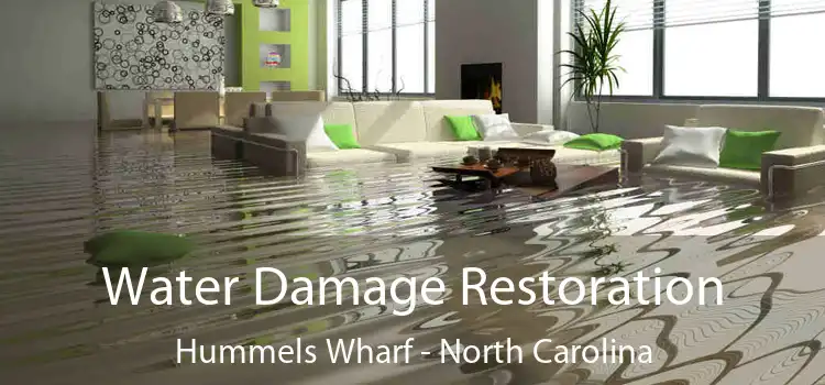 Water Damage Restoration Hummels Wharf - North Carolina