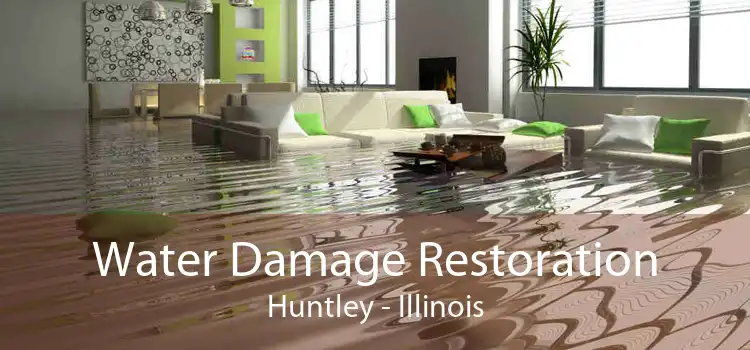 Water Damage Restoration Huntley - Illinois
