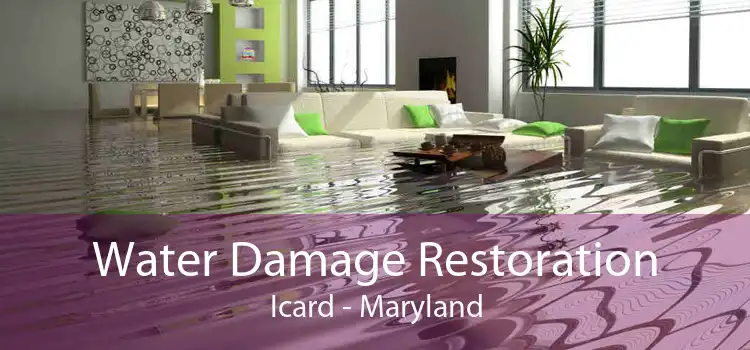 Water Damage Restoration Icard - Maryland