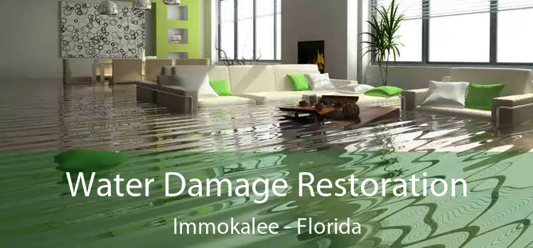 Water Damage Restoration Immokalee - Florida