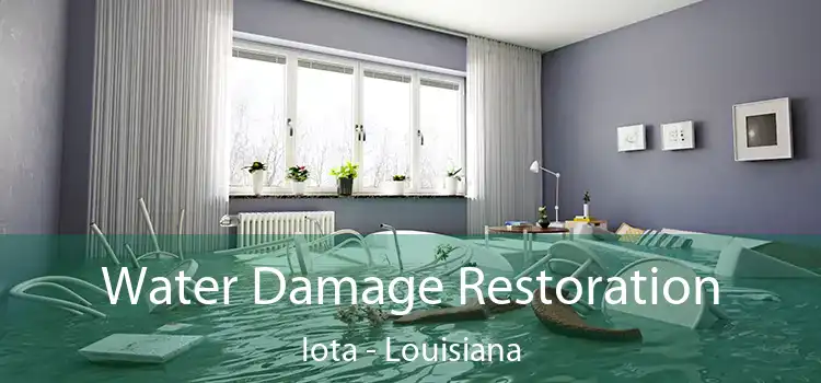 Water Damage Restoration Iota - Louisiana
