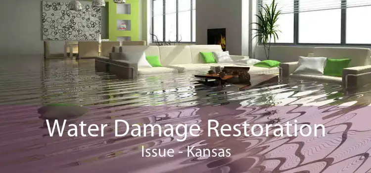 Water Damage Restoration Issue - Kansas