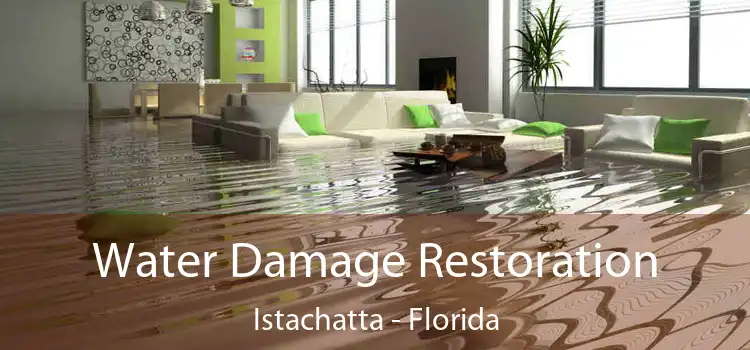 Water Damage Restoration Istachatta - Florida