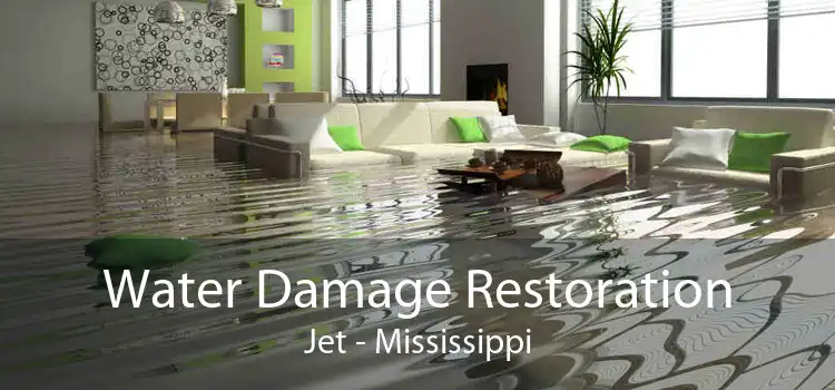 Water Damage Restoration Jet - Mississippi