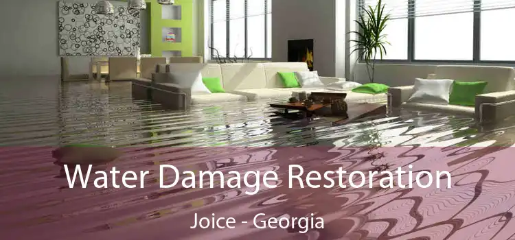 Water Damage Restoration Joice - Georgia