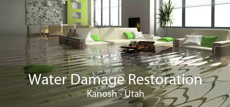 Water Damage Restoration Kanosh - Utah