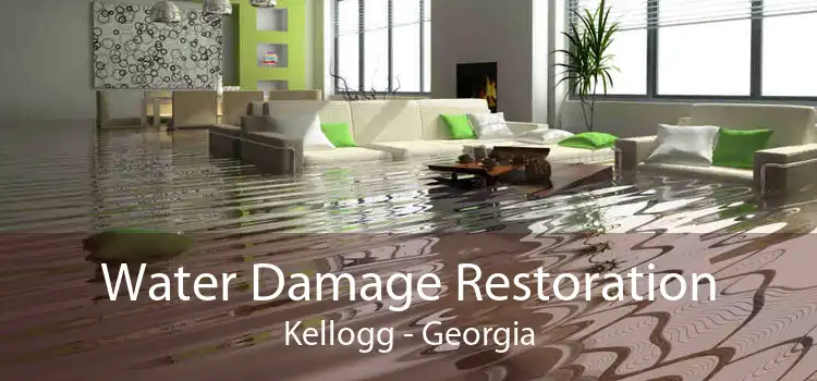 Water Damage Restoration Kellogg - Georgia