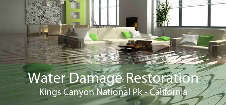 Water Damage Restoration Kings Canyon National Pk - California