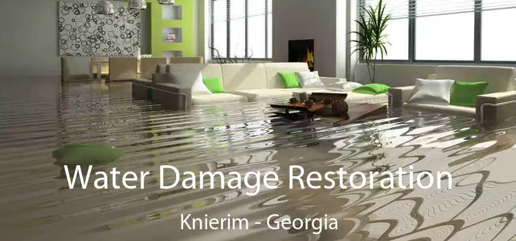 Water Damage Restoration Knierim - Georgia