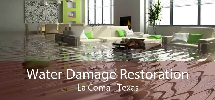 Water Damage Restoration La Coma - Texas