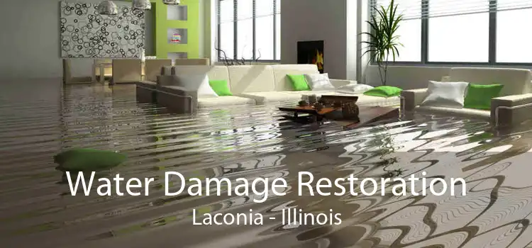 Water Damage Restoration Laconia - Illinois