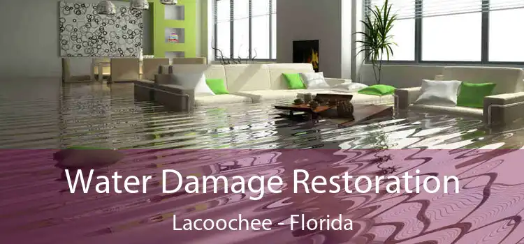 Water Damage Restoration Lacoochee - Florida