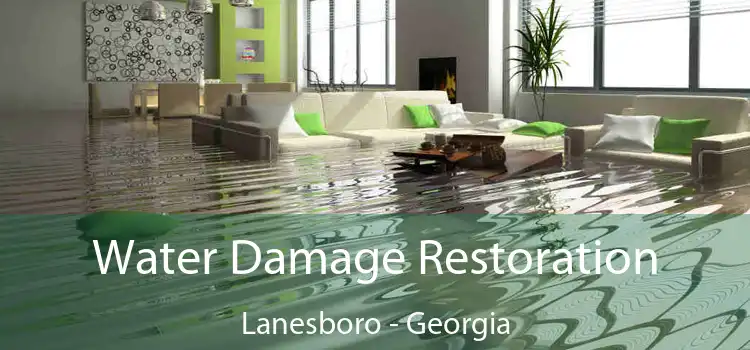 Water Damage Restoration Lanesboro - Georgia