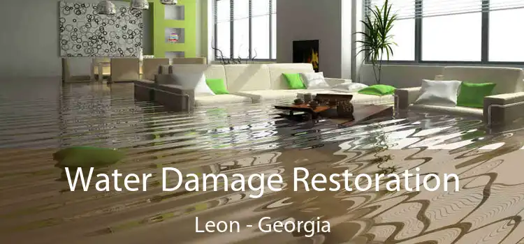 Water Damage Restoration Leon - Georgia