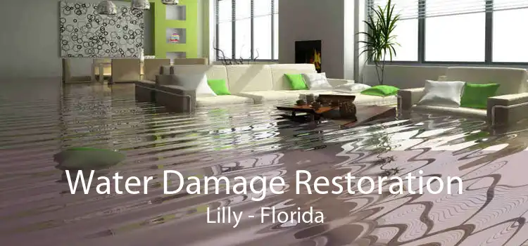 Water Damage Restoration Lilly - Florida