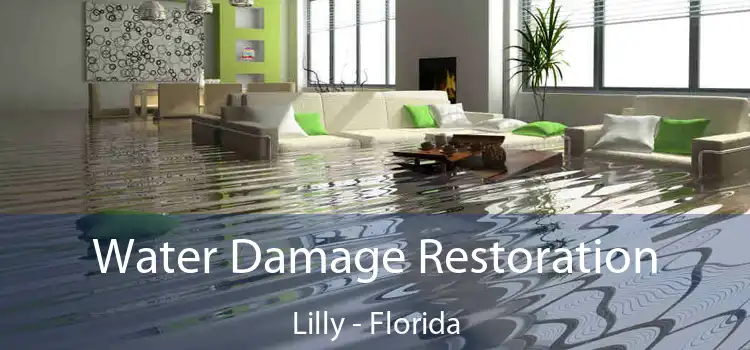 Water Damage Restoration Lilly - Florida