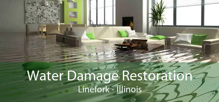 Water Damage Restoration Linefork - Illinois