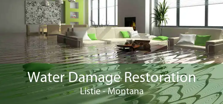 Water Damage Restoration Listie - Montana