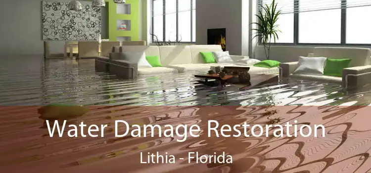 Water Damage Restoration Lithia - Florida