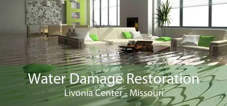 Water Damage Restoration Livonia Center - Missouri